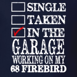Single Taken In The Garage Working On My 1968 PONTIAC FIREBIRD Muscle 
