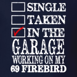Single Taken In The Garage Working On My 1969 PONTIAC FIREBIRD Muscle 