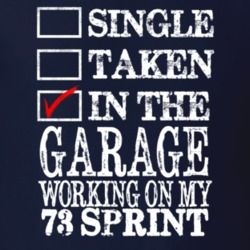 Single Taken In The Garage Working On My 1973 GMC SPRINT Muscle Car T 