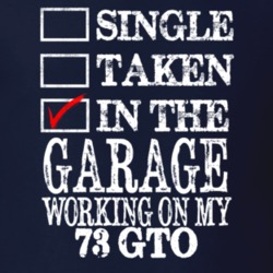 Single Taken In The Garage Working On My 1973 PONTIAC GTO Muscle Car T