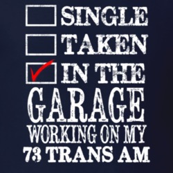 Single Taken In The Garage Working On My 1973 PONTIAC TRANS AM Muscle 