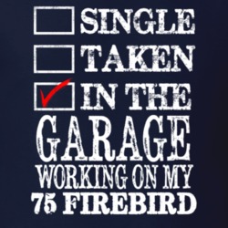 Single Taken In The Garage Working On My 1975 PONTIAC FIREBIRD Muscle 