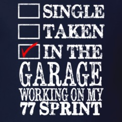 Single Taken In The Garage Working On My 1977 GMC SPRINT Muscle Car T 