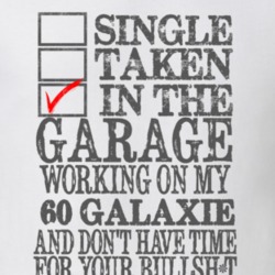 Single Taken In The Garage 1960  GALAXIE Distressed Look Muscle Car T 