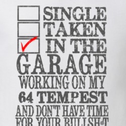 Single Taken In The Garage 1964 PONTIAC LEMANS TEMPEST Distressed Look