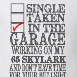 Single Taken In The Garage 1965 BUICK SKYLARK Distressed Look Muscle C