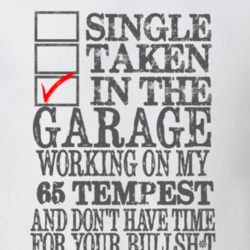 Single Taken In The Garage 1965 PONTIAC LEMANS TEMPEST Distressed Look