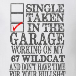 Single Taken In The Garage 1967 BUICK WILDCAT Distressed Look Muscle C