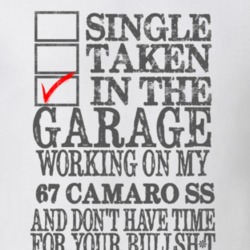 Single Taken In The Garage 1967 CHEVY CAMARO SS Distressed Look Muscle