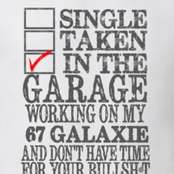 Single Taken In The Garage 1967  GALAXIE Distressed Look Muscle Car T 