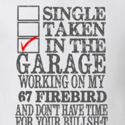 Single Taken In The Garage 1967 PONTIAC FIREBIRD Distressed Look Muscl