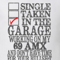 Single Taken In The Garage 1969 AMC AMX Distressed Look Muscle Car T S