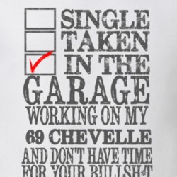 Single Taken In The Garage 1969 CHEVELLE Distressed Look Muscle Car T 