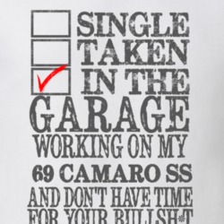 Single Taken In The Garage 1969 CHEVY CAMARO SS Distressed Look Muscle