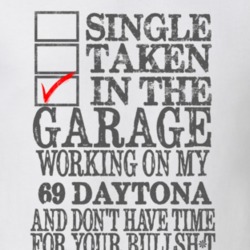 Single Taken In The Garage 1969 DODGE CHARGER DAYTONA Distressed Look 