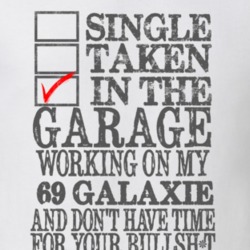 Single Taken In The Garage 1969  GALAXIE Distressed Look Muscle Car T 