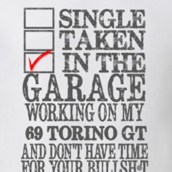 Single Taken In The Garage 1969  TORINO GT Distressed Look Muscle Car 