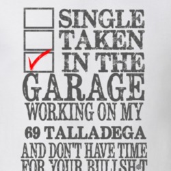 Single Taken In The Garage 1969  TORINO  TALLADEGA Distressed Look Mus