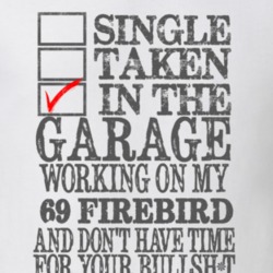Single Taken In The Garage 1969 PONTIAC FIREBIRD Distressed Look Muscl