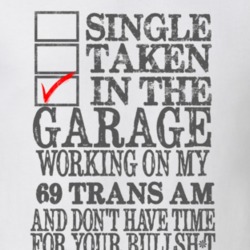 Single Taken In The Garage 1969 PONTIAC TRANS AM Distressed Look Muscl