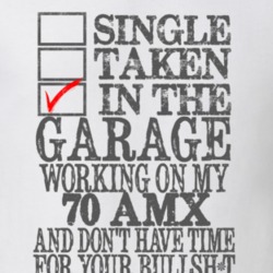 Single Taken In The Garage 1970 AMC AMX Distressed Look Muscle Car T S