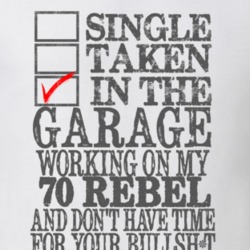Single Taken In The Garage 1970 AMC REBEL Distressed Look Muscle Car T