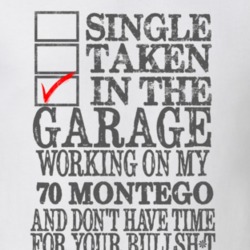 Single Taken In The Garage 1970 MERCURY MONTEGO Distressed Look Muscle