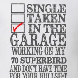 Single Taken In The Garage 1970 PLYMOUTH SUPERBURD Distressed Look Mus