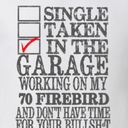 Single Taken In The Garage 1970 PONTIAC FIREBIRD Distressed Look Muscl