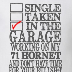 Single Taken In The Garage 1971 AMC HORNET Distressed Look Muscle Car 