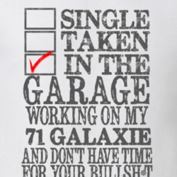 Single Taken In The Garage 1971  GALAXIE Distressed Look Muscle Car T 