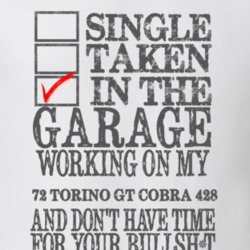 Single Taken In The Garage 1972  TORINO COBRA 428 Distressed Look Musc