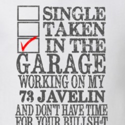 Single Taken In The Garage 1973 AMC JAVELIN Distressed Look Muscle Car