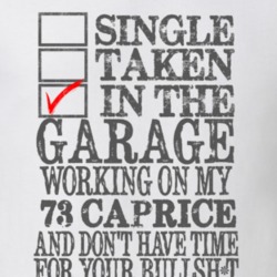 Single Taken In The Garage 1973 CHEVY CAPRICE Distressed Look Muscle C