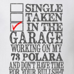 Single Taken In The Garage 1973 DODGE POLARA Distressed Look Muscle Ca