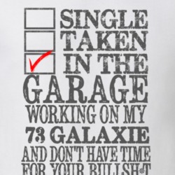 Single Taken In The Garage 1973  GALAXIE Distressed Look Muscle Car T 