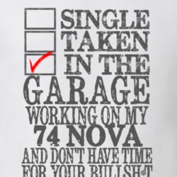 Single Taken In The Garage 1974 CHEVY NOVA Distressed Look Muscle Car 