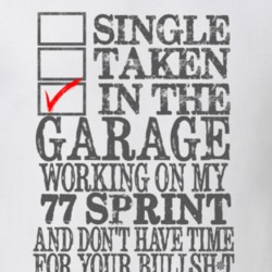Single Taken In The Garage 1977 GMC SPRINT Distressed Look Muscle Car 