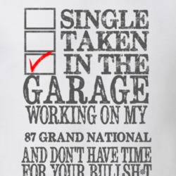 Single Taken In The Garage 1987 BUICK GRAND NATIONAL Distressed Look M