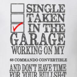 Single Taken in the Garage With Jeep 1968 Commando Convertible Funny J