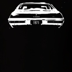 1971 Pontiac Lemans Rear View With Plate Dark Shirt