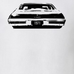 1971 Pontiac Lemans Rear View With Plate Light Shirt