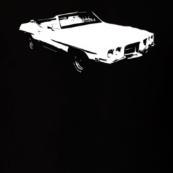 1971 Convertible Pontiac Lemans Side View  Dark Shirt