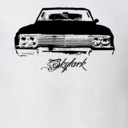 1965 Buick Skylark Grill View Modle Light Color Shirt