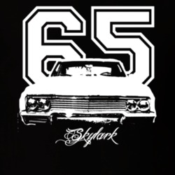 1965 Buick Skylark Grill View Year Modle Dark Color Shirt