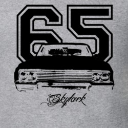 1965 Buick Skylark Grill View Year Modle Light Color Shirt