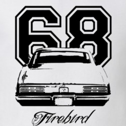 1968 Pontiac Firebird Rear View Year Model Name Light Shirt