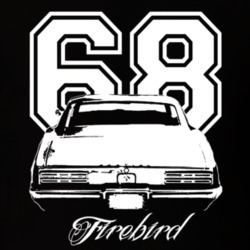 1968 Pontiac Firebird Rear View Year Model Name Dark Shirt