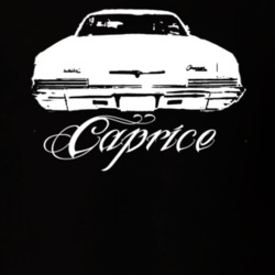 1966 Chevy Caprice Rear View Model Name Dark Shirt