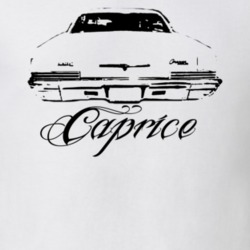 1966 Chevy Caprice Rear View Model Name Light Shirt